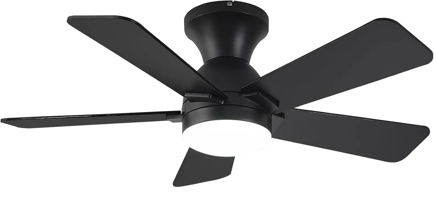 Dolavast Modern Ceiling Fan